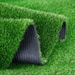Turf Grass